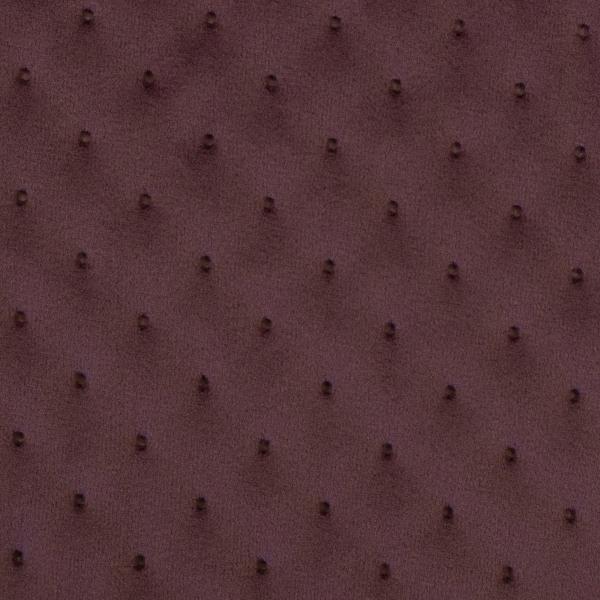 Stepper Galant von Swafing Altrosa